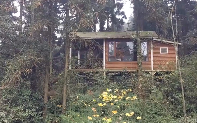 森林康养知识分享-森林康养有哪些注意事项？