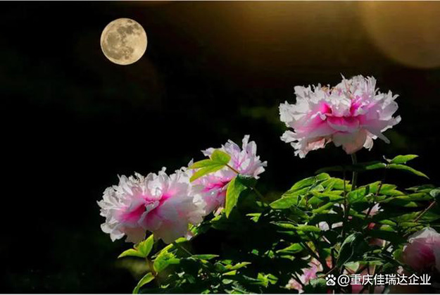 月圆中秋，感恩遇见