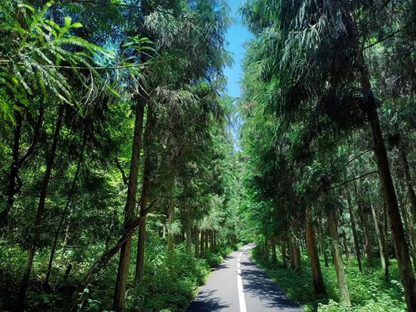 抢到她，就抢到了健康