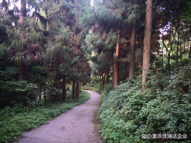 在幸运飞行艇168体彩官网现场开奖直播(中国)官方网站:傍晚遛弯