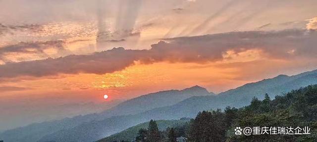 鸟瞰幸运飞行艇168体彩官网现场开奖直播(中国)官方网站:有感